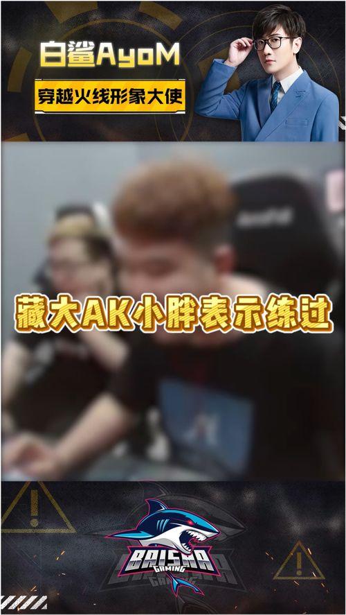 听b哥爆料白鲨视频,揭秘背后故事与精彩瞬间  第3张